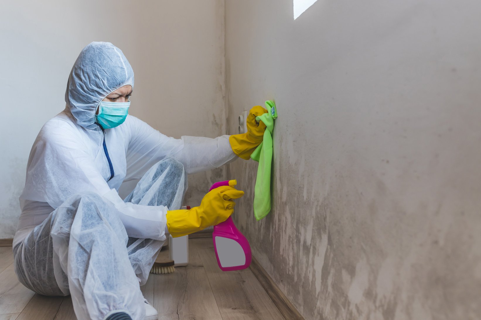 Worker of cleaning service removes mold from wall using spray bottle with mold remediation chemicals, mold removal products.